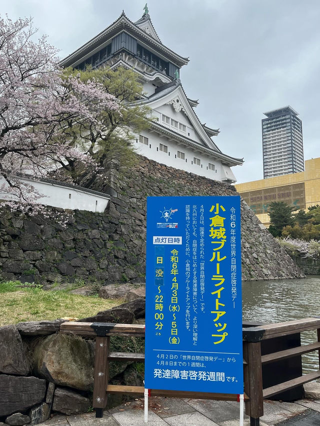 【小倉城桜まつり】夜桜とお城が幻想的です🌸