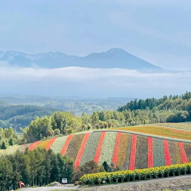 Colourful View in Biei 