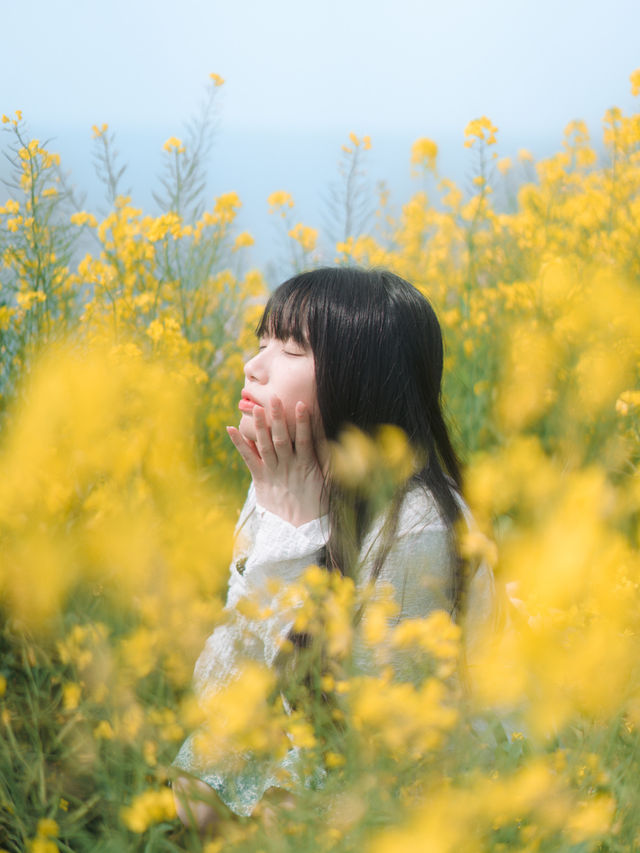 🇰🇷濟州島|必去景點「咸德海水浴場」果凍海配上油菜花！夢幻組合！