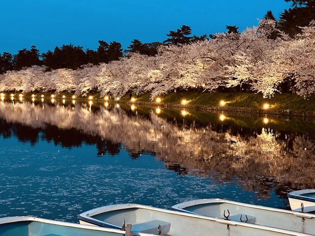 日本東北弘前公園夜櫻點燈 絕美