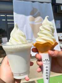【栃木 那須塩原】約300mの桜並木が綺麗な🌸千本松牧場🌸