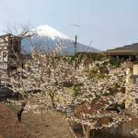 Shiraito water fall /白糸滝
