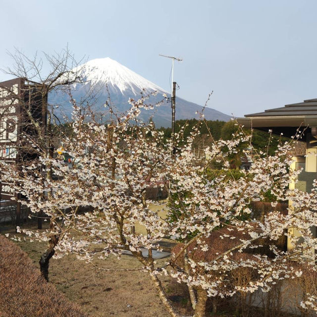 Shiraito water fall /白糸滝