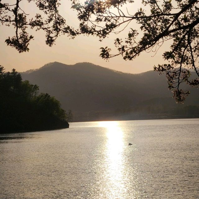 봄바람 가득, 춘천 공지천에서 만나는 4월의 마법 🌸🍃