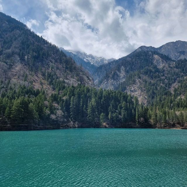 "Jiuzhaigou: A Natural Wonderland of Tranquility and Beauty"