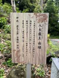【北九州神社】看板猫に会えるかも？古代から続く神社