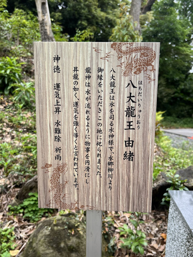 【北九州神社】看板猫に会えるかも？古代から続く神社