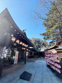 【千葉】絶対に行ってほしい!!桜だらけのかわいすぎる神社🌸今話題のレースお守りも🤍