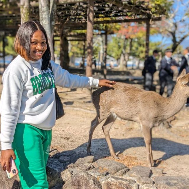 fun time at Miyajima 