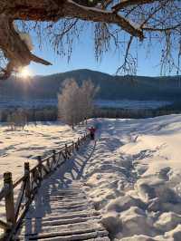 Fluffy White Snow of Northern Xinjiang