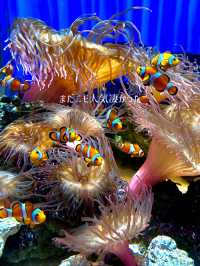 【大阪】水族館・動物園をartとして子供も大人も楽しめる体験型 「生きているミュージアム」