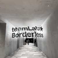 東京-麻布台TeamLab展覽