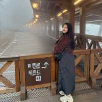 อุทยานแห่งชาติอาลีซาน นั่งรถไฟชมวิวป่าสนพันปี