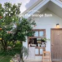 สวนส้มในฝัน โคตรน่ารัก 🫶🏻😍🍊