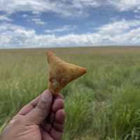 Incredible wildlife experience in Kenya 