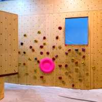 So You Think You Can Climb?