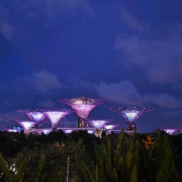 新加坡不能錯過之Garden by the bay
