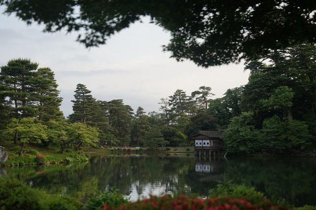 Kanazawa - Cultural place with fresh seafood
