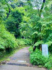【宇治】大吉山：簡單路徑登至山頂，動漫朝聖之旅