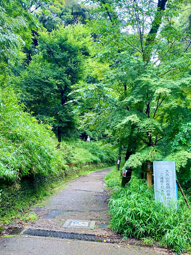 【宇治】大吉山：簡單路徑登至山頂，動漫朝聖之旅