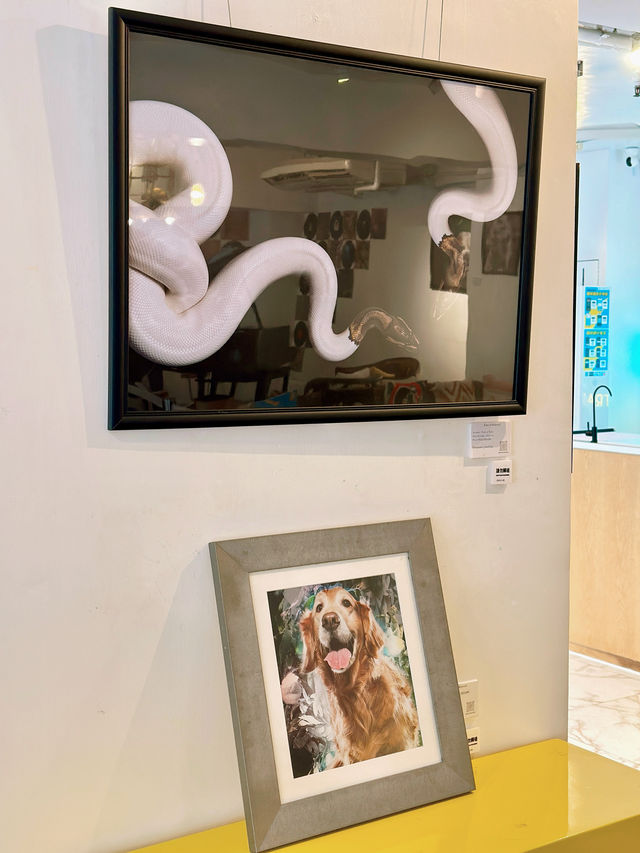 6️⃣月中環看展- 迷你中環寵物攝影展🐶🐱