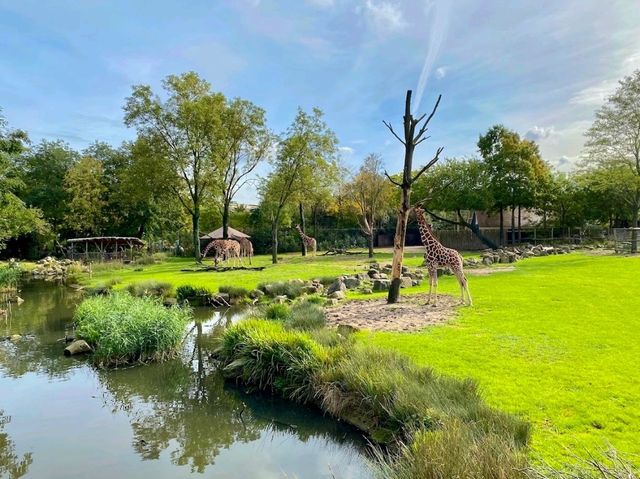 Rotterdam Zoo