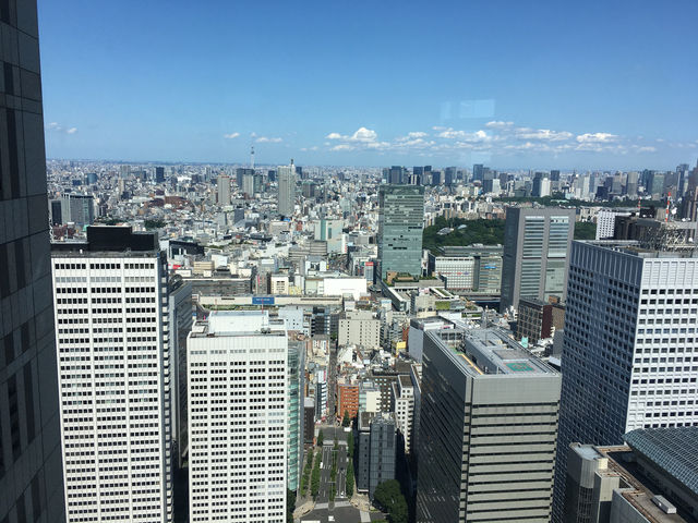 俯瞰東京：白天的展望台與夜晚的光影魅力