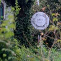 Gajib Bed&Breakfast