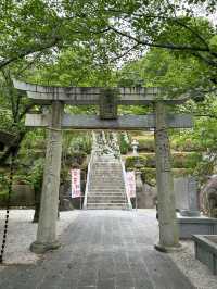 【福岡神社】紫陽花の美しい花手水💜