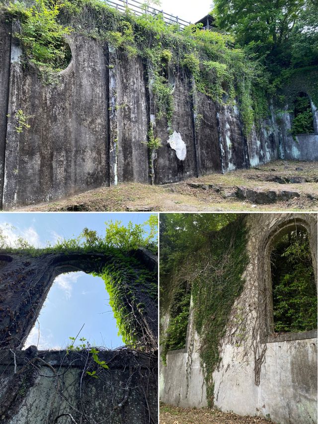 【大分/豊後大野】大迫力！雪舟も描いた名瀑