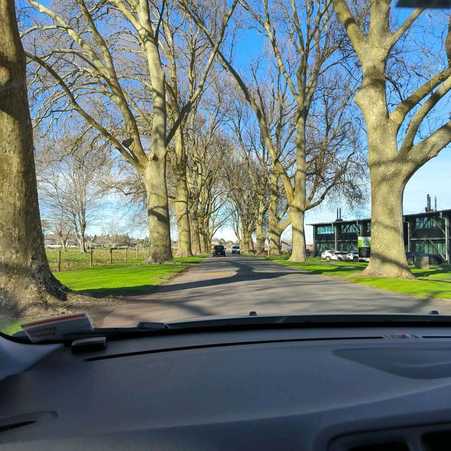 探索新西兰🇳🇿怀卡托大学校园活动