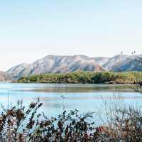 🏕️ทะเลสาบไซโกะ (Lake Saiko)🗻
