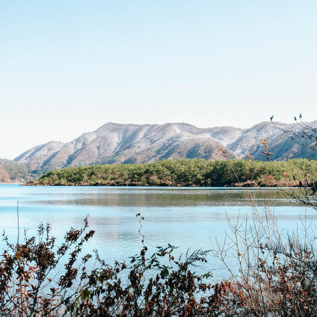 🏕️ทะเลสาบไซโกะ (Lake Saiko)🗻