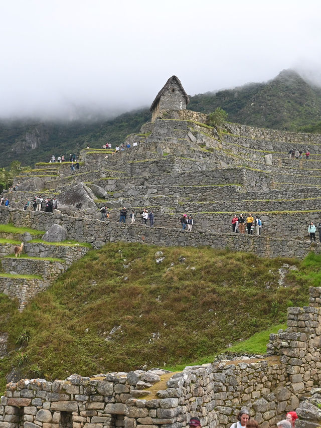 การเดินทางมายัง Machupicchu เปรู
