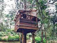 2 วัน 1 คืน ที่นี่ระนอง เมืองต้องห้าม...พลาด 