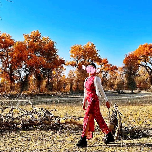 塔里木胡楊林國家森林公園