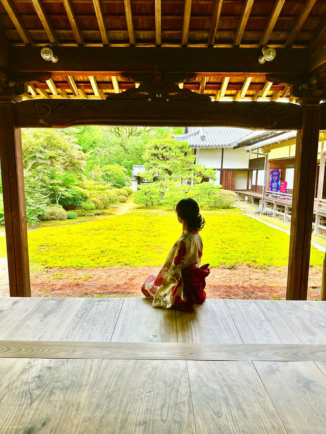 〜京都府〜絶世の美女のお寺さん歴史を感じる雅なお寺