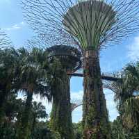 Garden by the bay outing 