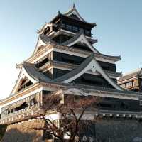 上野城城堡：歷史悠久，絕佳全景