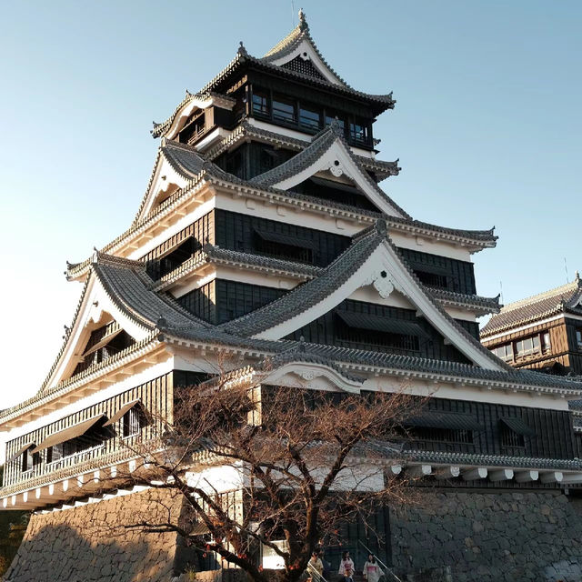 上野城城堡：歷史悠久，絕佳全景