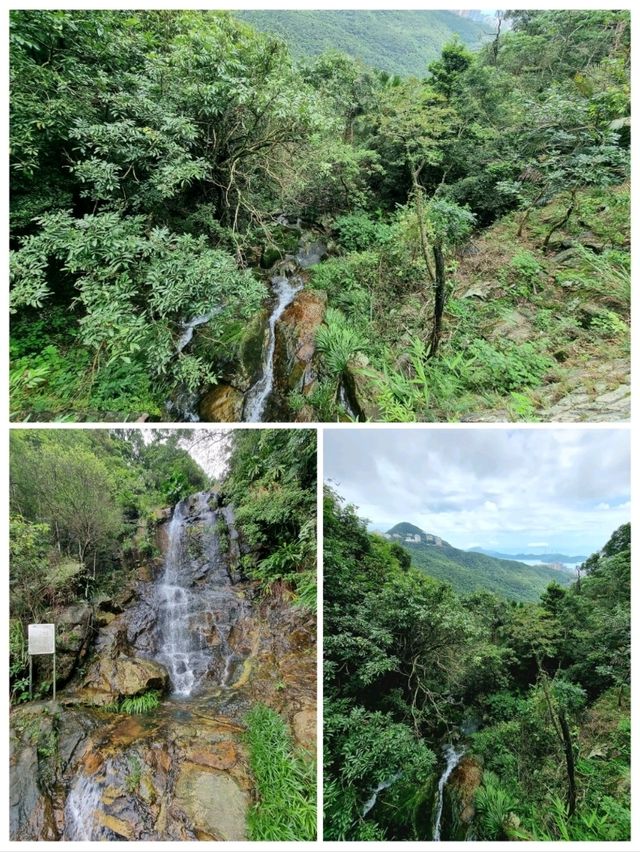 🇭🇰 The Peak Trail, Hong Kong Island