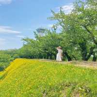 【北海道】函館の美しい自然を満喫