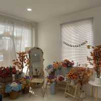 Sunshinecafe Studio 