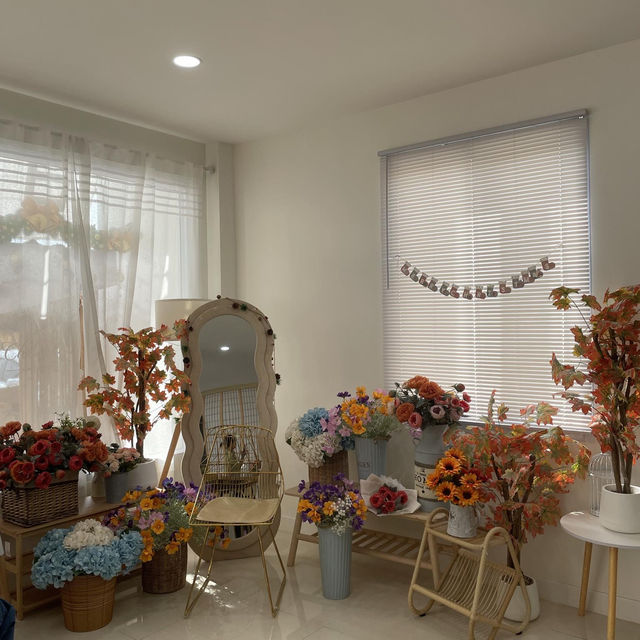 Sunshinecafe Studio 
