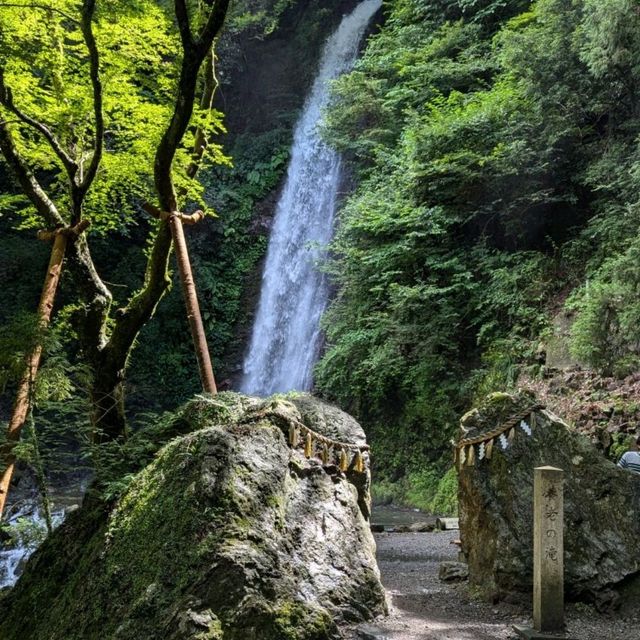 養老の滝