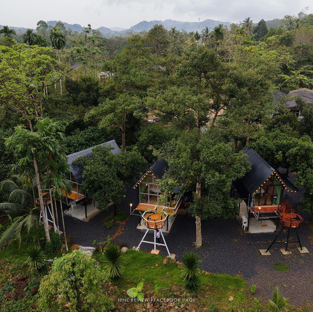 ⛰Chanya Forest Resort ... ช้างกลาง