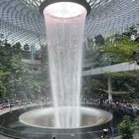 Tropical Oasis at Changi