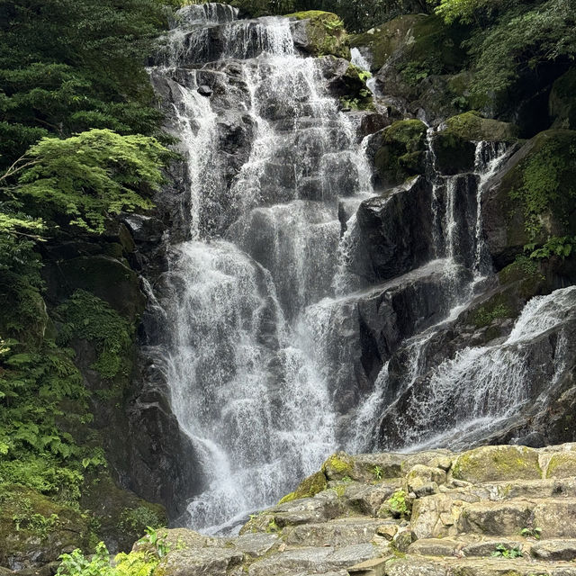 【福岡】白絲瀑布：夏季最佳時節，體驗流水素麵樂趣