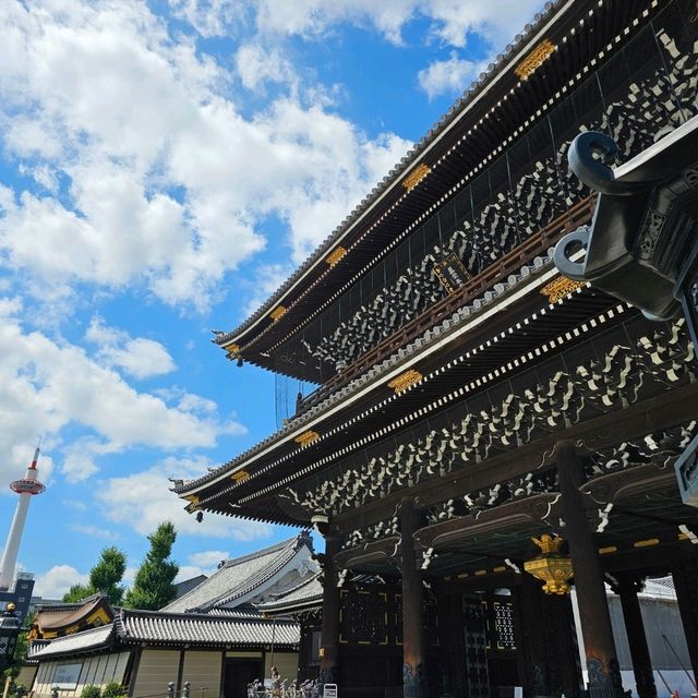 세계에서 가장 큰 목조절🏯 교토에서 공짜로 힐링하기!