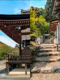 Matsuo-taisha Shrine is a Hidden Gem in Kyoto, Japan ⛩️🇯🇵